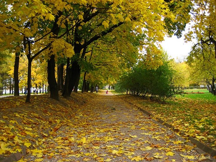 3 thói quen giúp mình đọc sách mỗi ngày