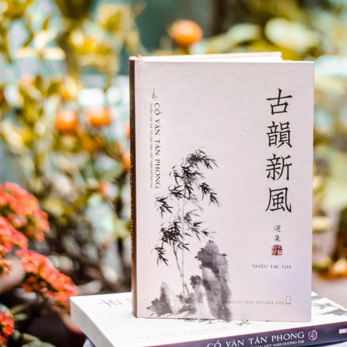 Cổ Vận Tân Phong - Bản Sách Đẹp - ảnh 6