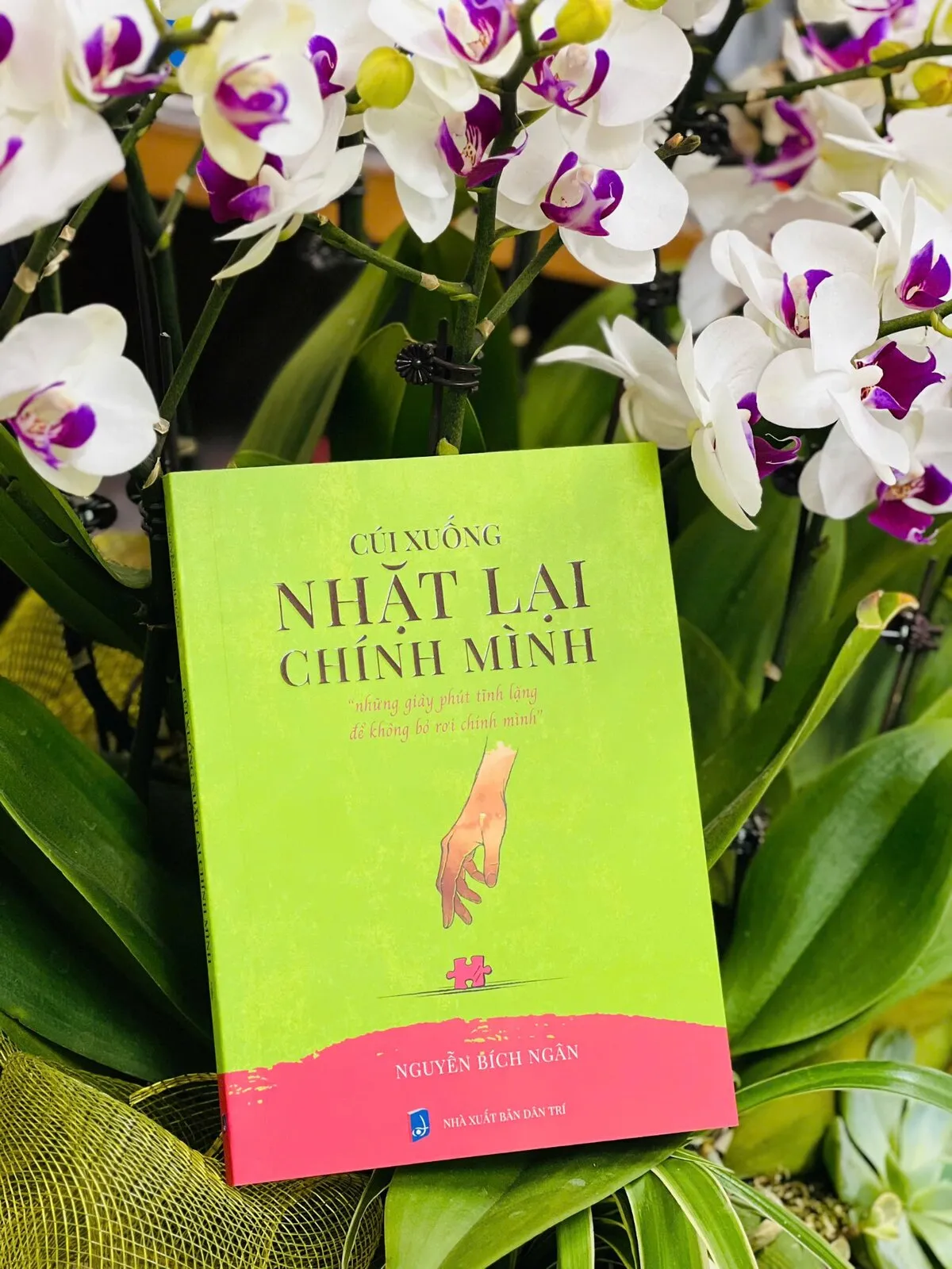 Cúi xuống nhặt lại chính mình - Những giây phút yếu lòng để không bỏ rơi chính mình - ảnh 5