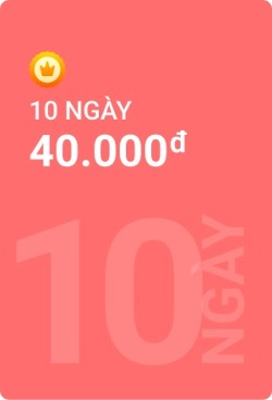 VIP 10 ngày