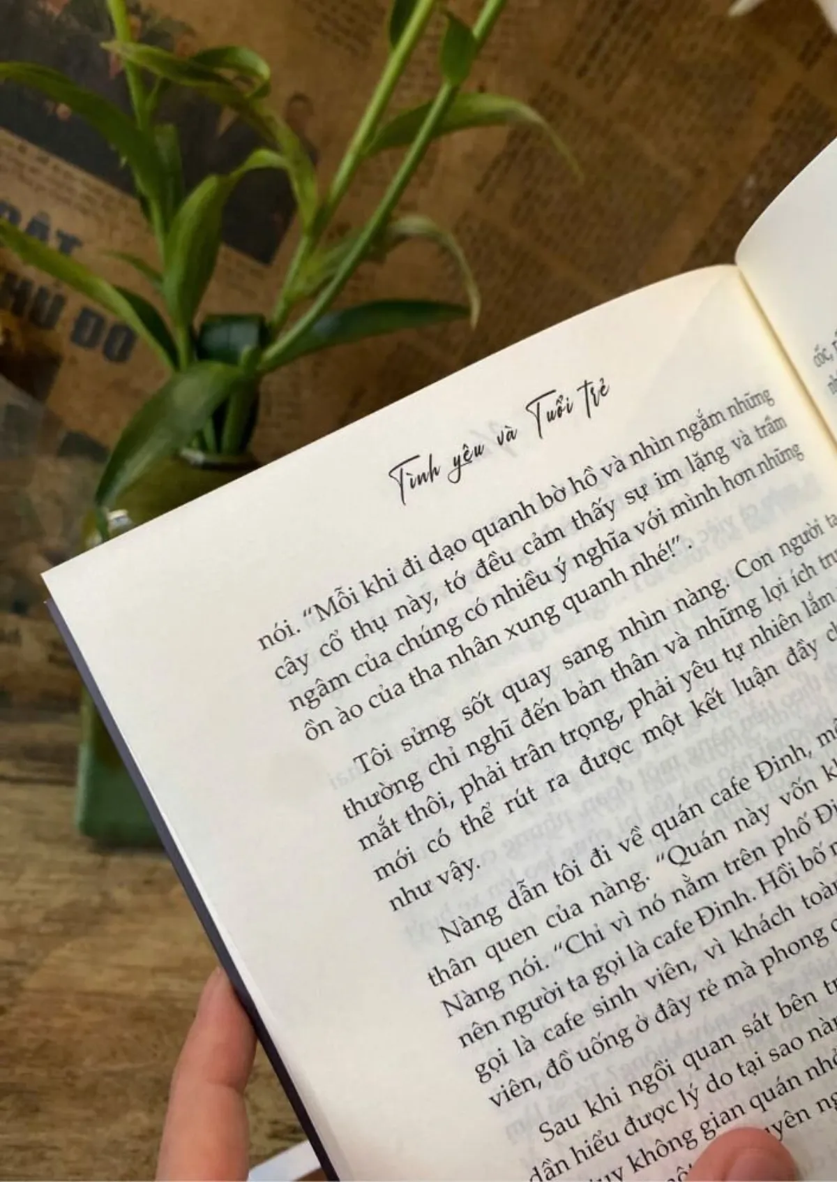Tình yêu và Tuổi trẻ - Văn